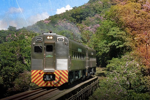 Passeio de Trem Curitiba a Morretes (Ticket)